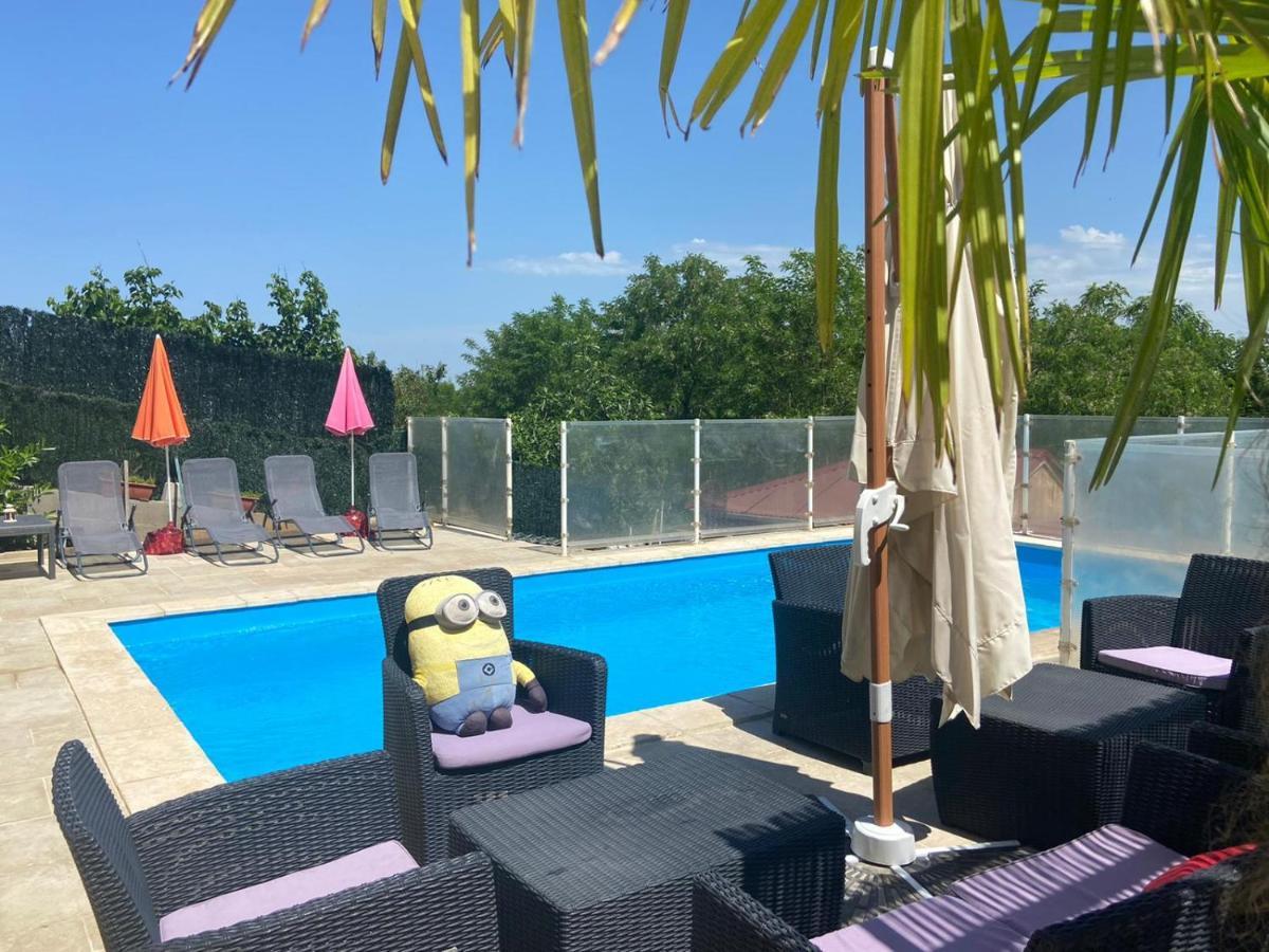 Magnifique Villa Avec Piscine Beaujolais Gleizé エクステリア 写真